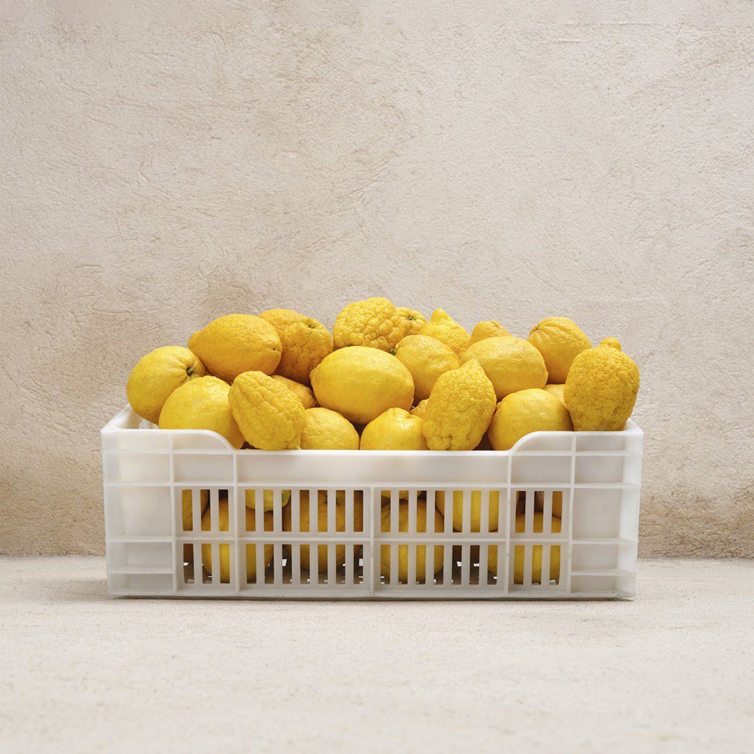 公式】コローニュ セドラ ハンド＆ボディ ローション｜MATIERE