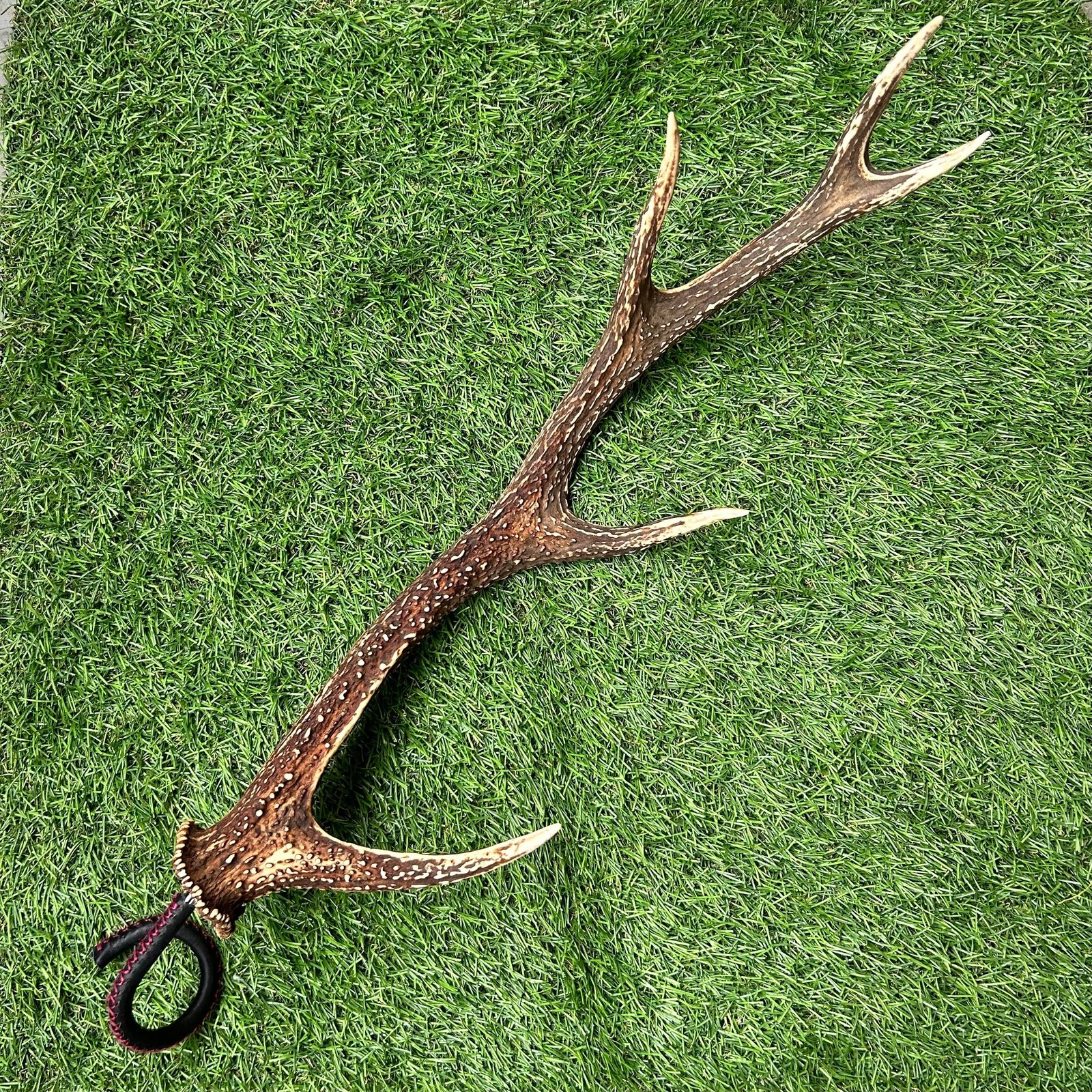 超レア4又5尖！！鹿の角ランタンハンガー（〜φ28mm） | 狩猟クラフト