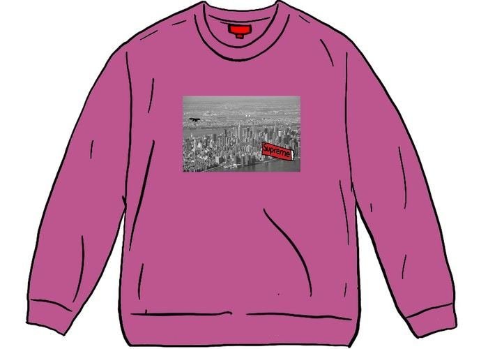 12 Week FW 20 Supreme Aerial Crewneck (Supreme/スウェット