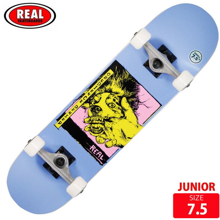 りす 秋冬物セール】REAL リアル スケートボード コンプリート