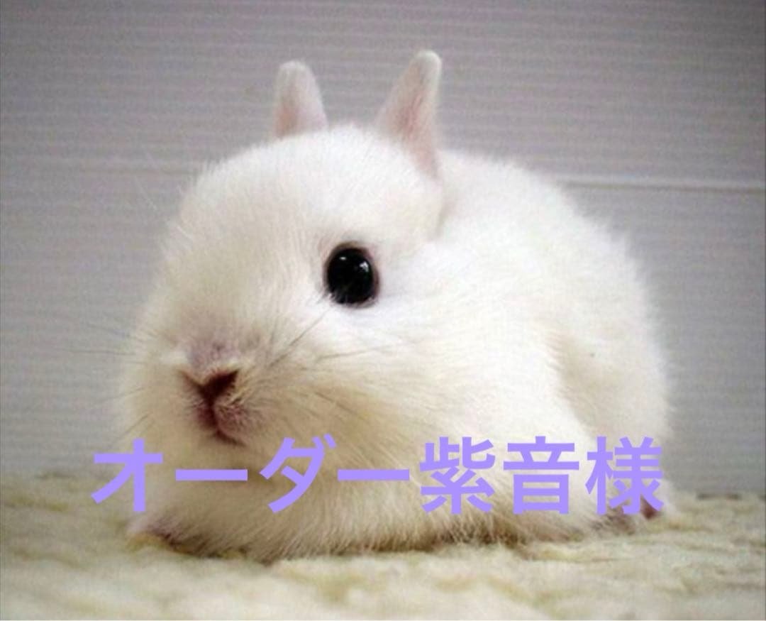 手描きイラスト ハンドメイドイラスト ファンアート 手描きイラスト】 霧雨魔理沙 / 東方Project 【ファンアート】 - メルカリ